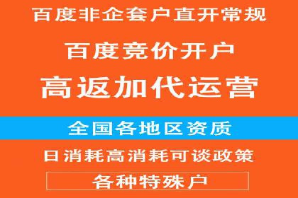 精准投放，高效转化——SEM竞价优化案例集